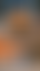 Pumpkin patch instagram story template