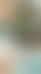 Condo social media template