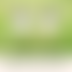 Wedding business social media template