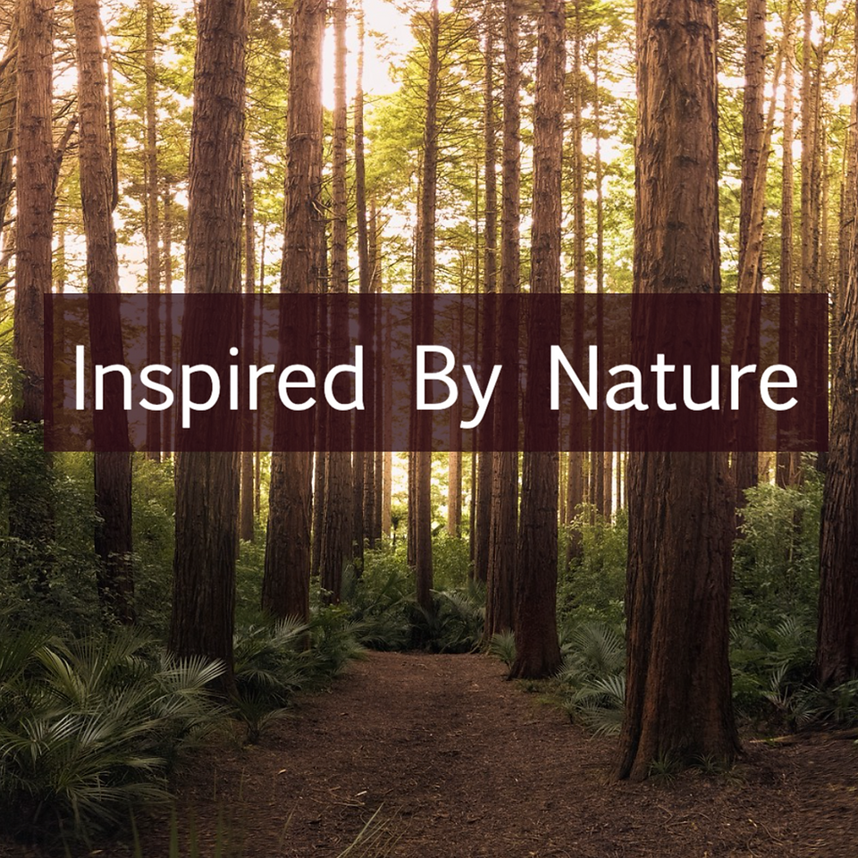 Nature photography day social media template