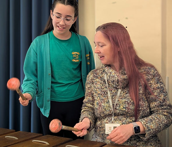 Steel pans and marimbas