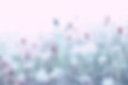 Abstract field of daisies