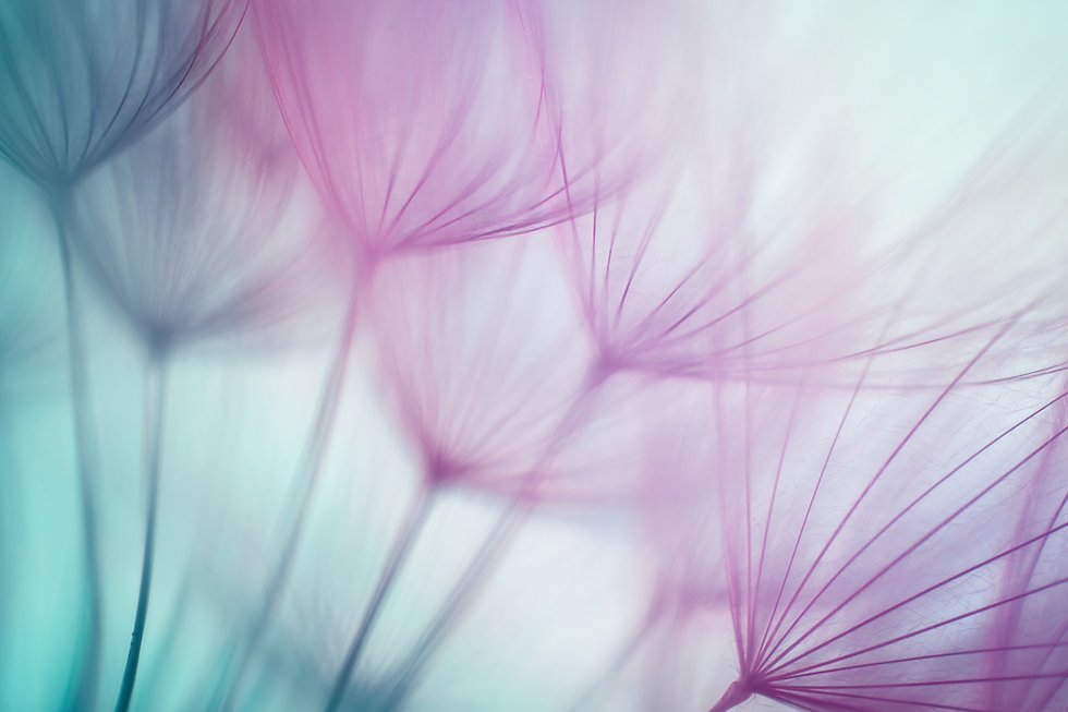 Abstract image of dandelion puffballs with teal & purple