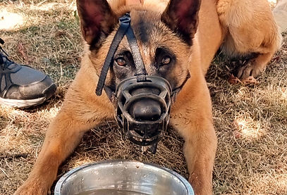 SEANCE 6 (3)_edited_edited.jpg