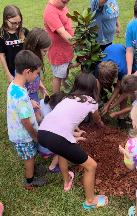 Kids Caring for Creation at VBS