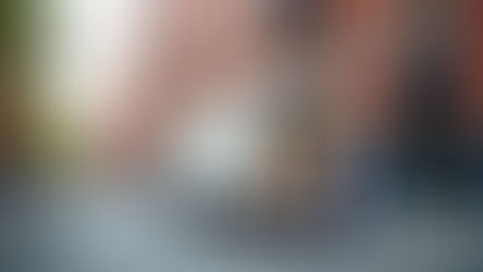 Negotiating a Moving Contract: Tips