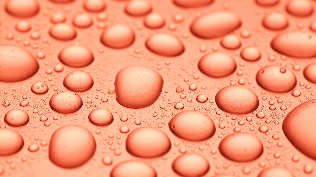 Red blood cells. Blood elements.jpg