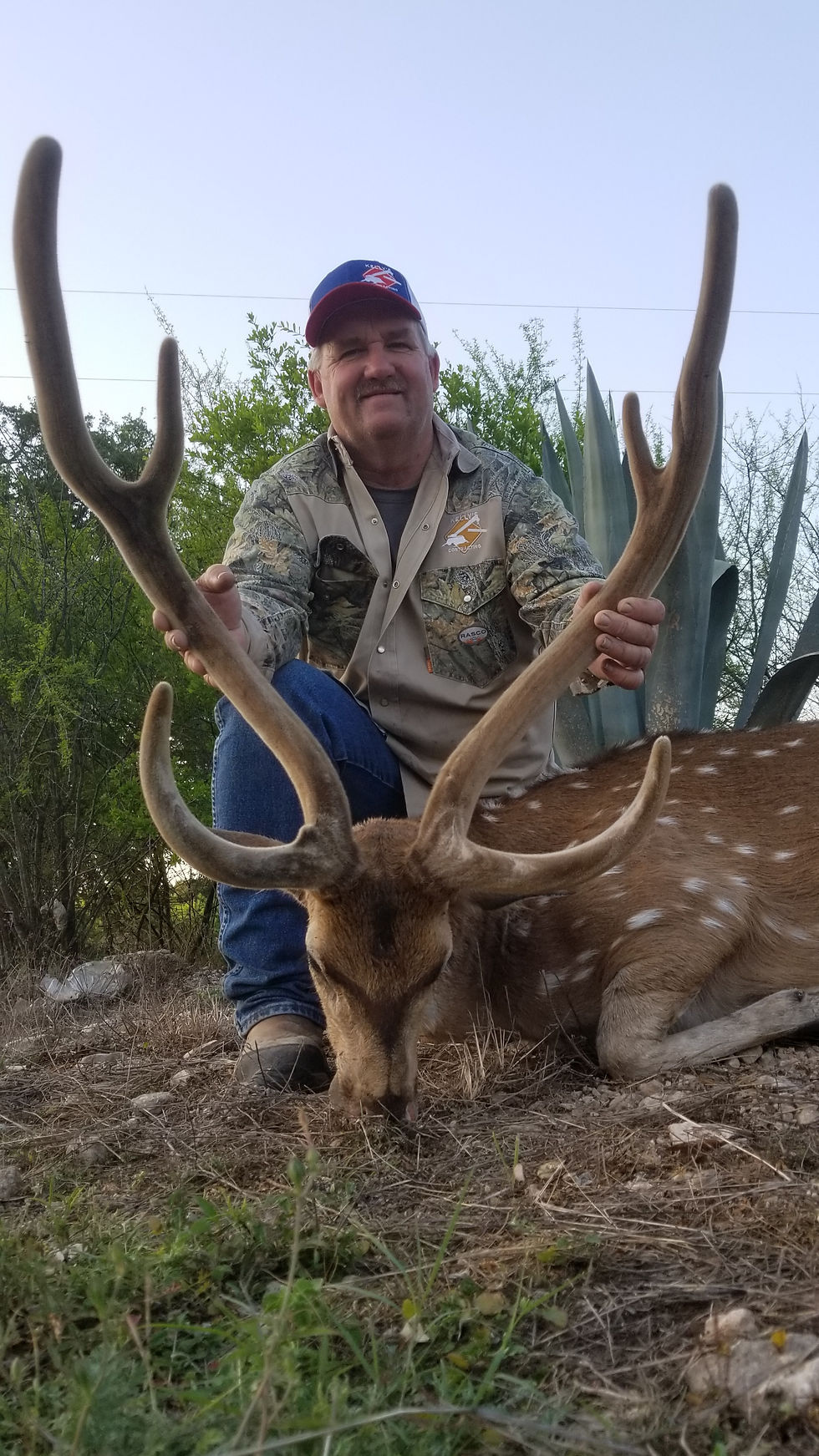 34" Spring Time Axis