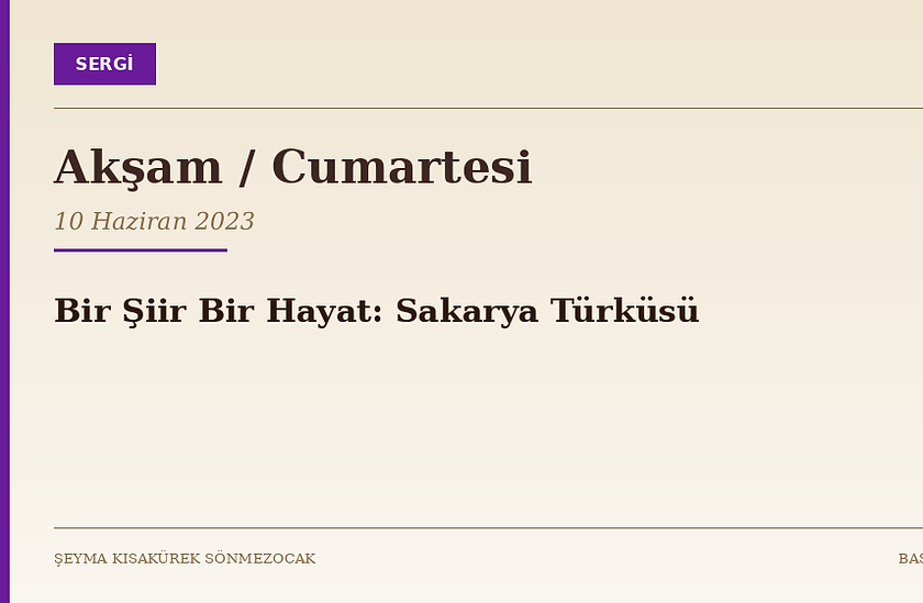 14_2023-06_Aksam_Sakarya-Turkusu.png