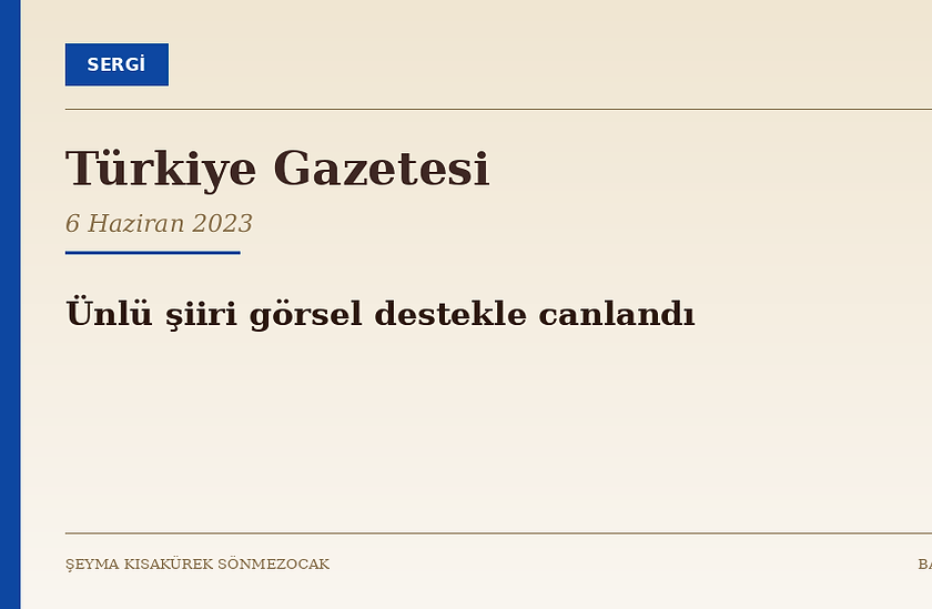 15_2023-06_Turkiye_Gorsel-destek.png