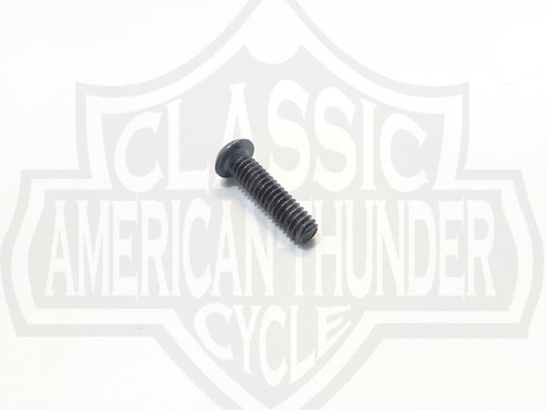 Clutch & Brake Perch Screw, Black Torx, HD 4132 | ClassicAmericanThund