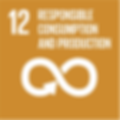 SDG12