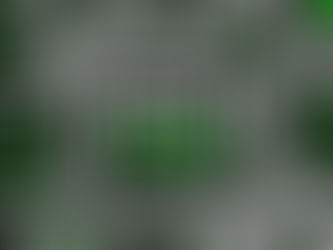 WHY INSTALL TURF IN 2024