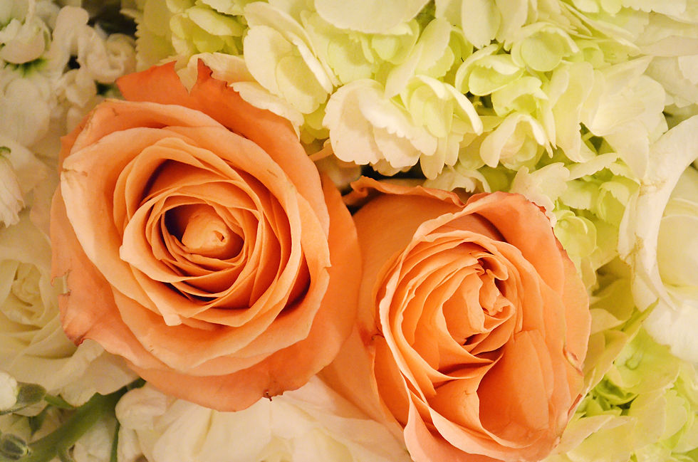 Fisher Island Miami, FL