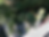 Polygonale