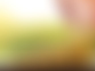 Conoce qué es el Impuesto de Alcabala