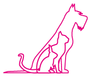 Precious Paws Pet Grooming