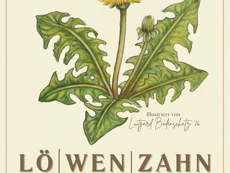 Löwenzahn gezeichnet