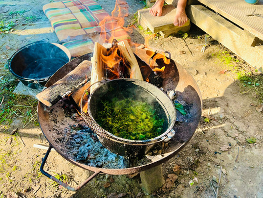 Brennesselsuppe im Dutchtopf