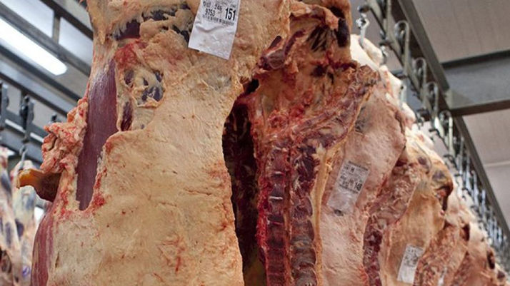 Las exportaciónes de carne vacuna representan el 24% de la producción, la mayor participación desde 
