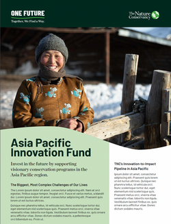 Factsheet: Innovation Fund