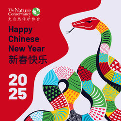 Lunar New Year eCard