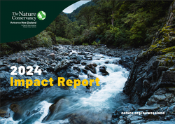 Aotearoa Impact Report