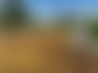 Miks on bituumenkatuse hooldus oluline?