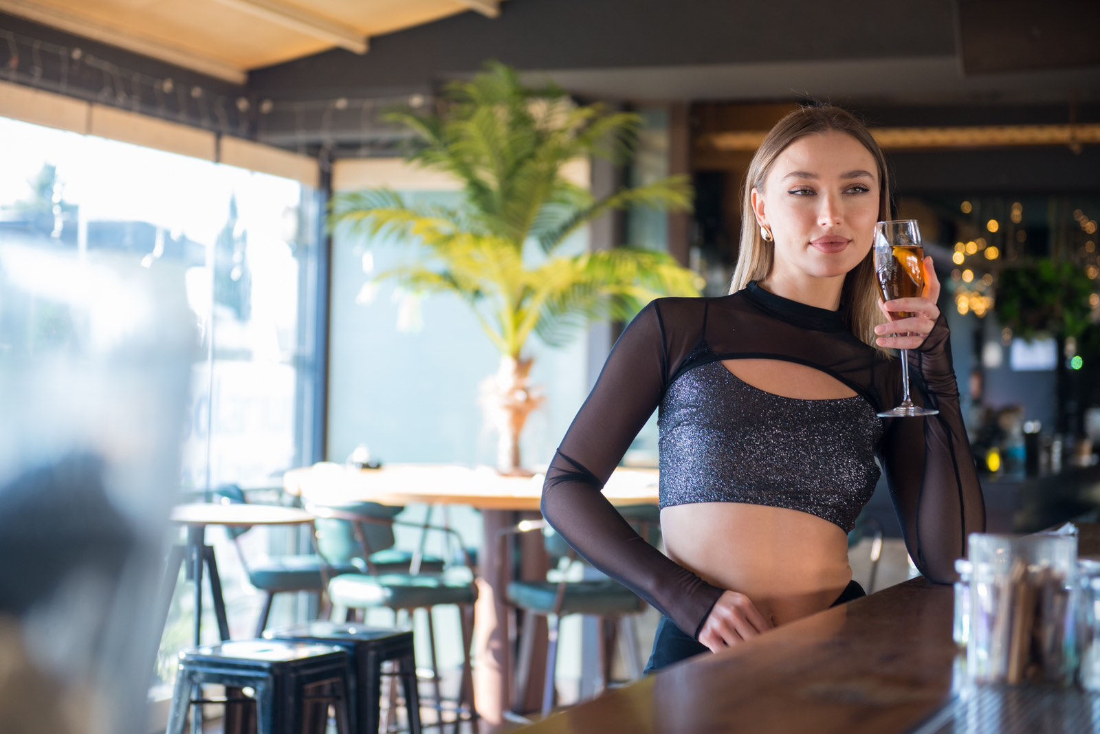 C-Through μπολερό κροπ τοπ -silver glitter