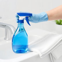 Basic Cleaning.jpg