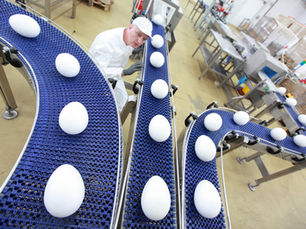 a modern food conveyor system with modular belt