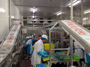 overhead conveyor system for poultry processor