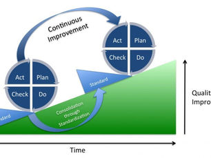 Director Health and Safety Responsibilities