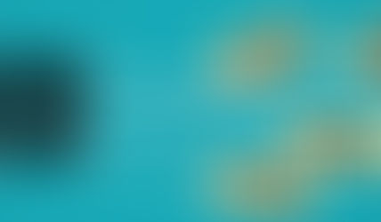 New Credit Card Laws to Affect You