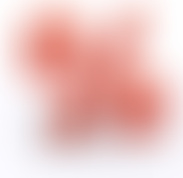 The effects of low interest rates