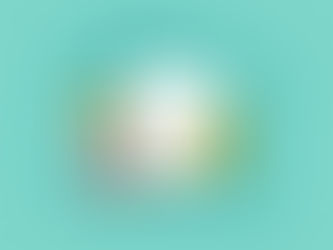 Dealing with the Budgeting Blues