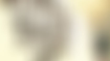 Small Business Tax Tips