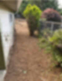 View recent photos 5.PNG