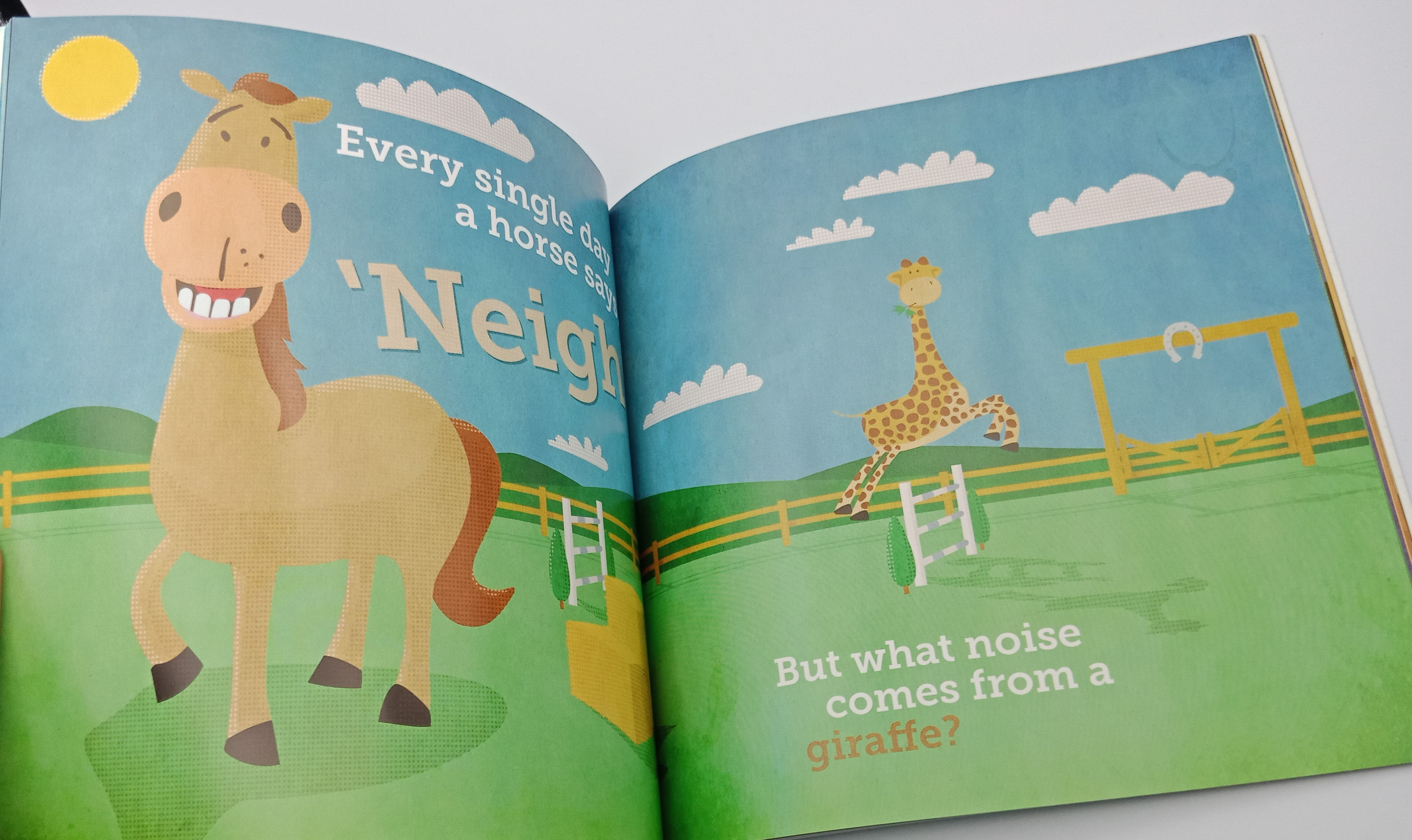 What Noise Comes From a Giraffe by Craig Maclean Paperback Storytelling Picture