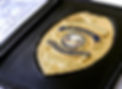 pi-badge.jpg