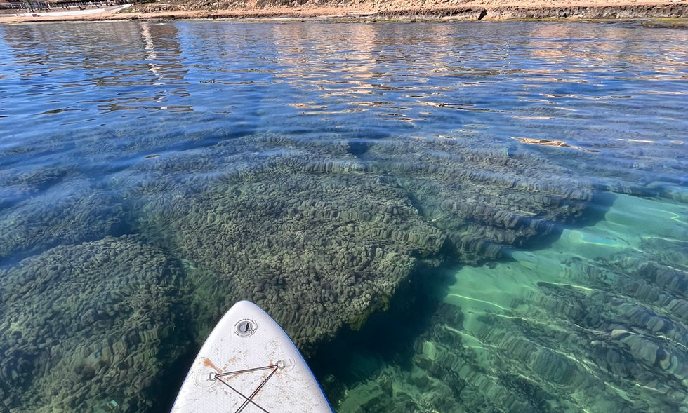 Beach Apartments sold by Casa Pro Properties in La Mata Beach, Costa Blanca South, Spain