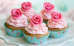 Cupcakes 1