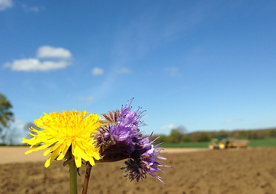 Capture d’écran 2016-06-27 à 16.09.38.png