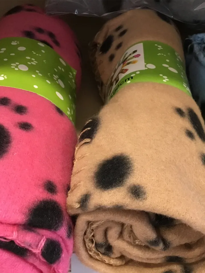Blankets.webp