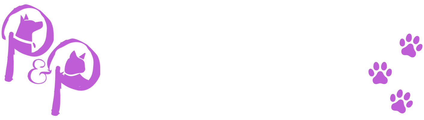 contact-bg.webp