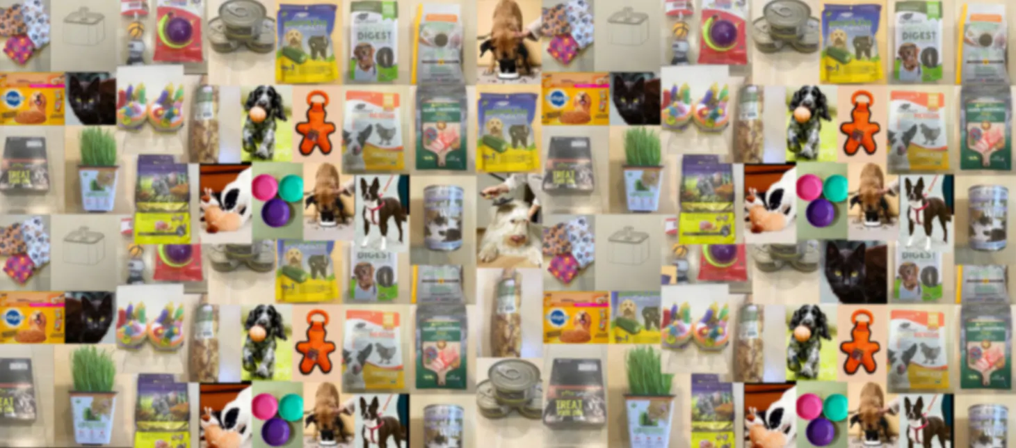 Shop-bg.webp