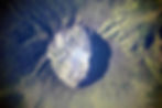 The summit of Mount Tambora as seen from space. Courtesy of NASA.