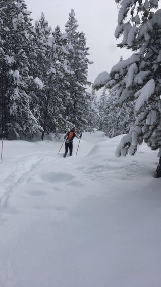 Some folks (xc athletes) just have to ski...no matter how much snow has come down.