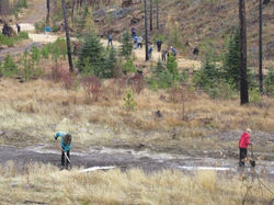 Nov.1, 2015 Work Party