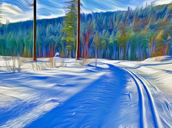 Jim Webster - Kimberley Nordic